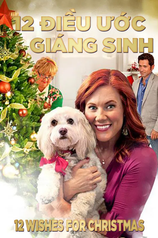 Xem Phim 12 Điều Ước Giáng Sinh Vietsub HD Online