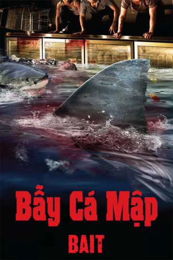 Poster phim Bẫy Cá Mập trên Xem Phim Fun