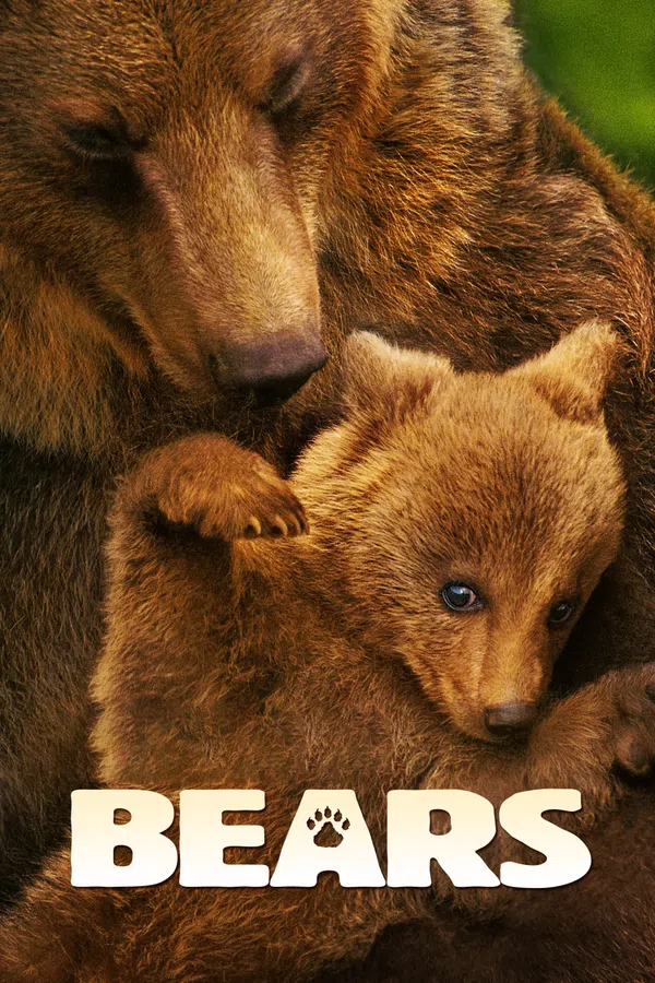 Xem Phim Bears Vietsub HD Online