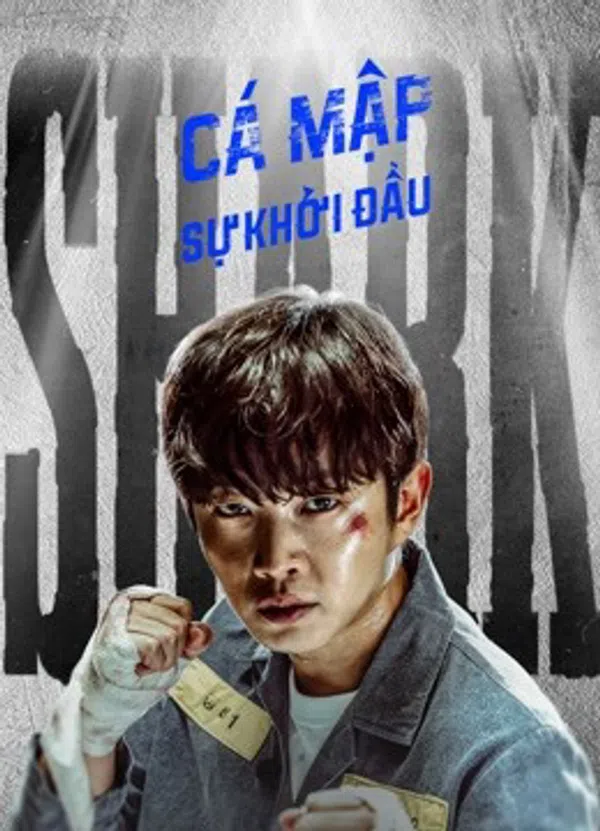Xem Phim Cá Mập: Sự Khởi Đầu Vietsub HD Online