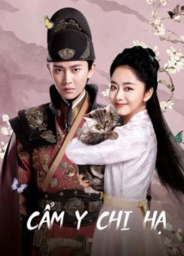 Xem Phim Cẩm Y Chi Hạ Vietsub HD Online