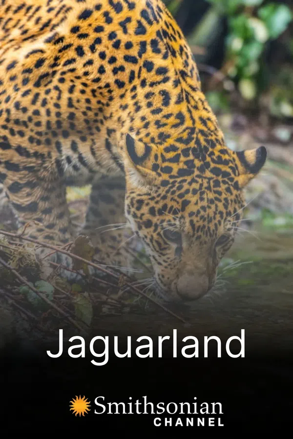 Xem Phim Jaguarland Vietsub HD Online
