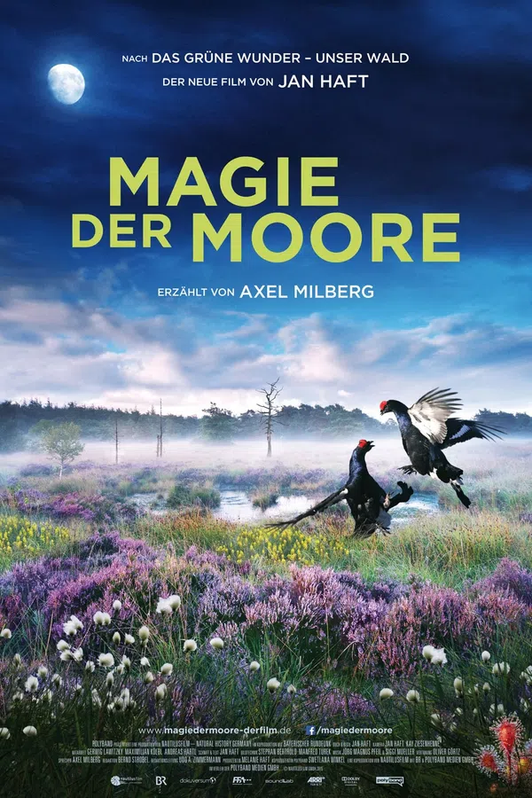 Xem Phim Magie der Moore Vietsub HD Online