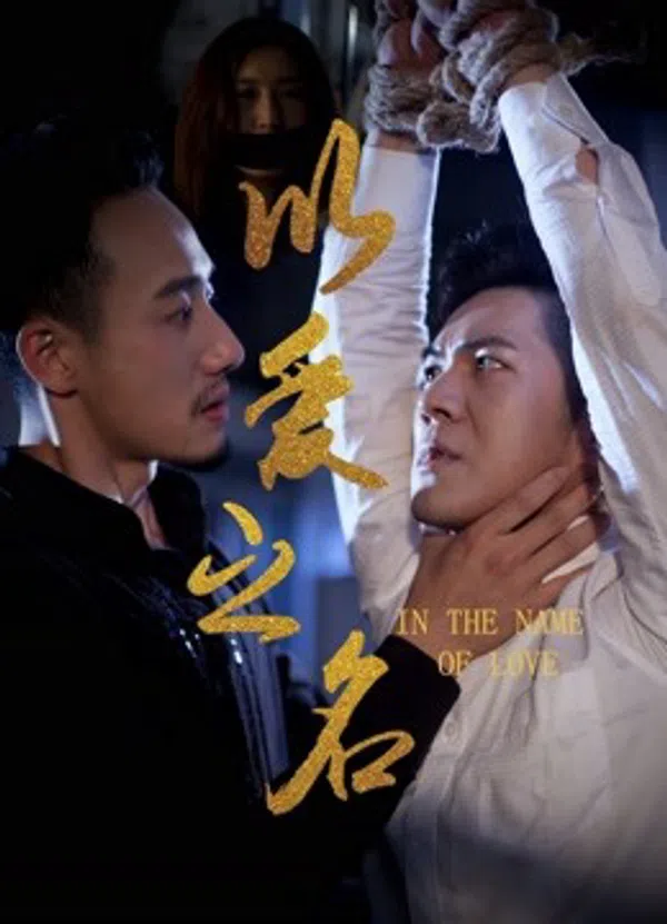 Poster phim Nhân Danh Tình Yêu trên Xem Phim Fun