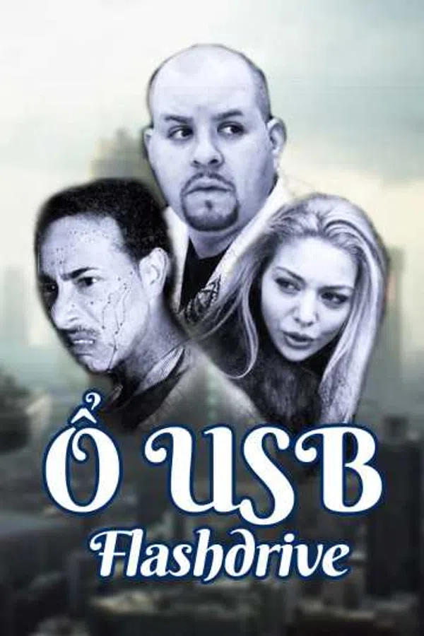 Poster phim Ổ USB trên Xem Phim Fun